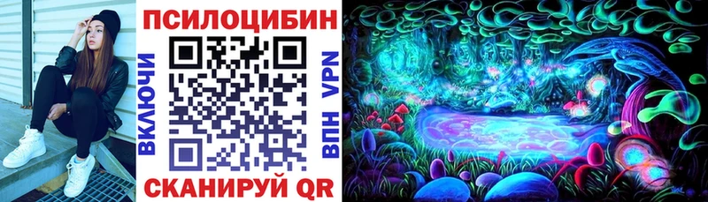ОМГ ОМГ зеркало  наркотики  Зерноград  Псилоцибиновые грибы Cubensis 